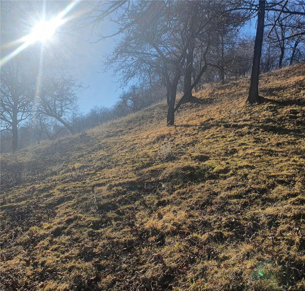 Teren de vânzare în AG Campulung-Muscel