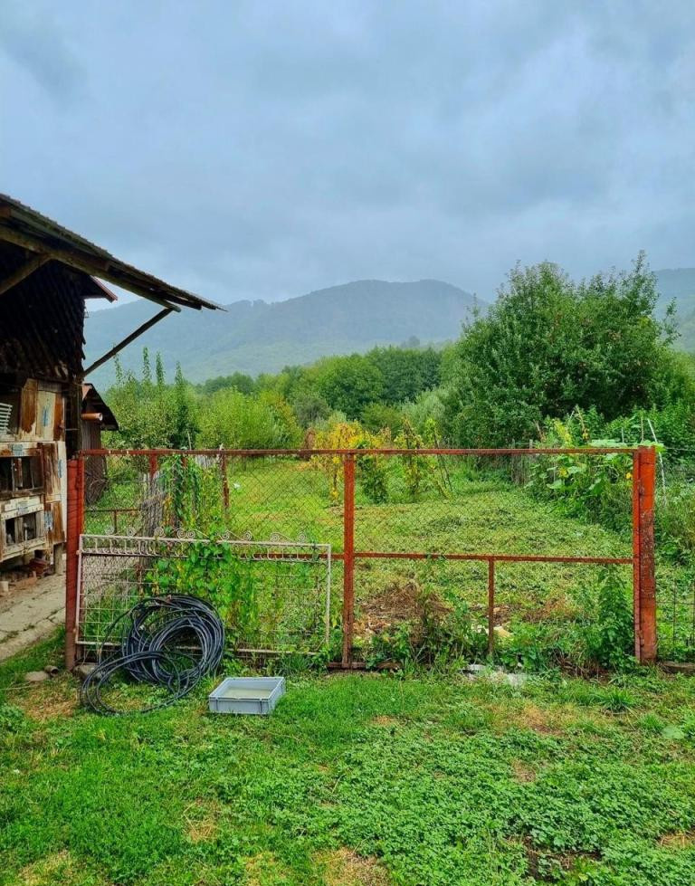 Casă de vânzare în Nucșoara – Sboghițești, teren 2400 mp