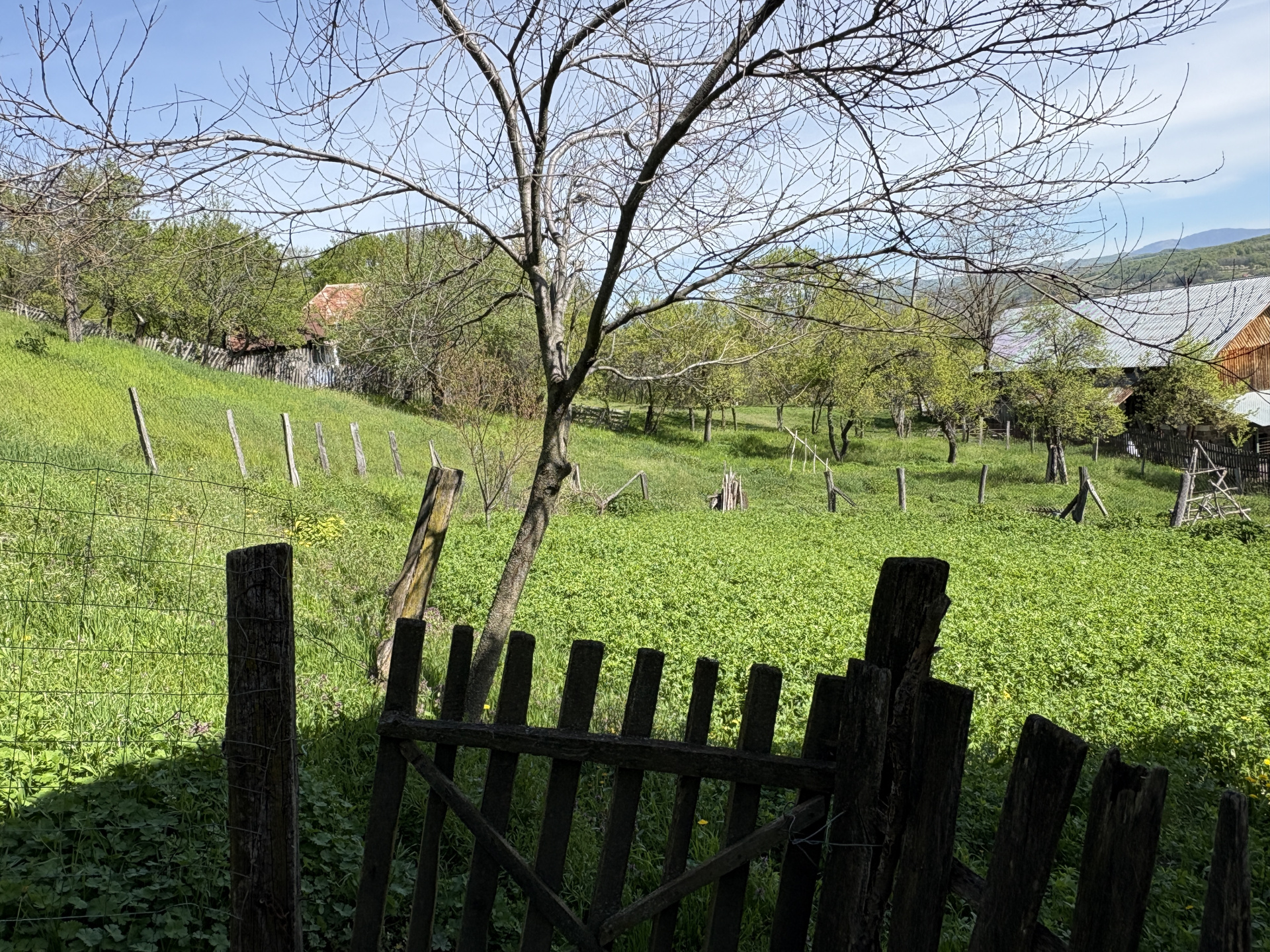 Casă la roșu + 2 case tradiționale | 14.613 mp teren | Aproape de A1 Tigveni