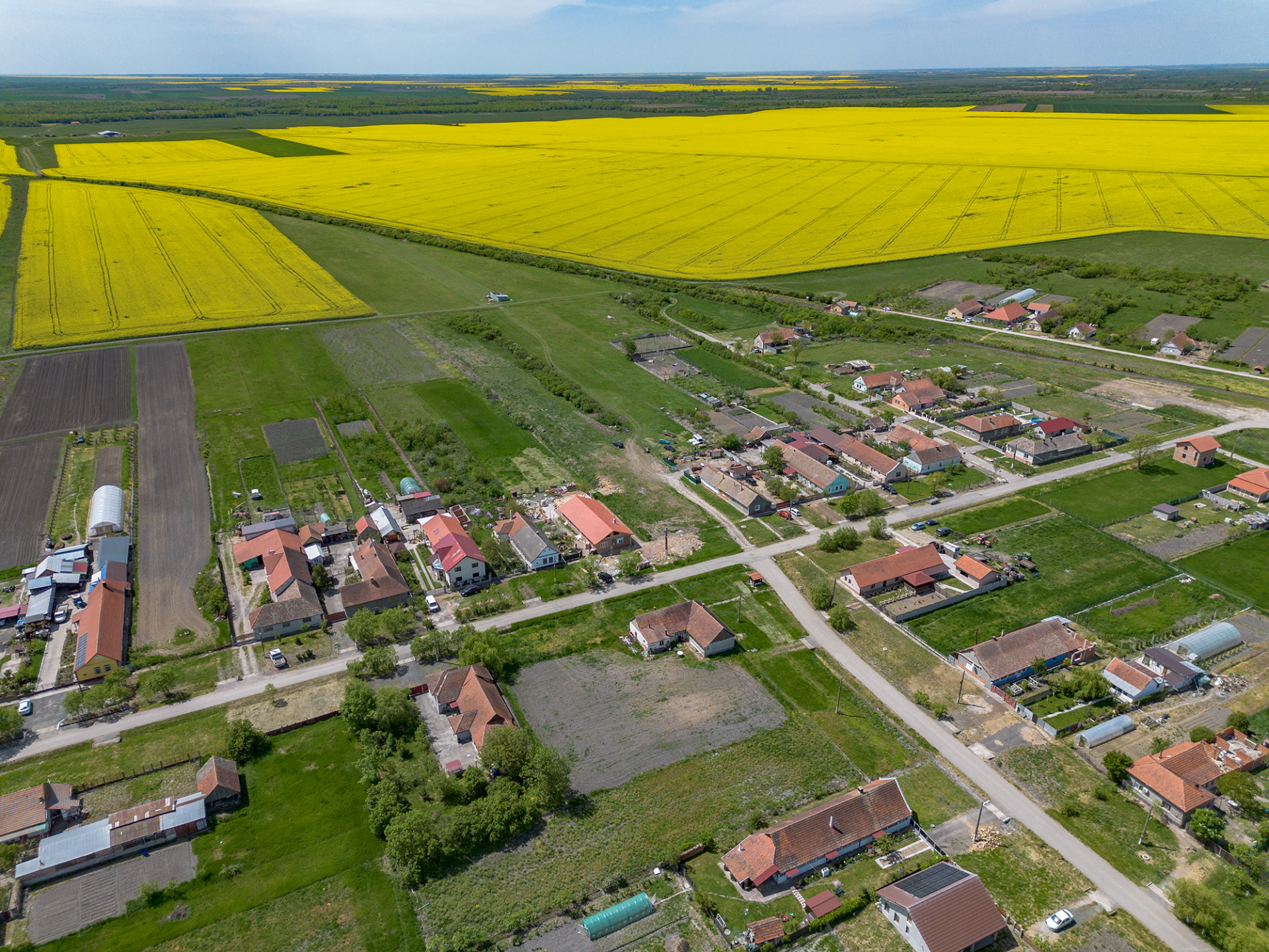 DE VÂNZARE: 1.448 MP DE „LINIȘTE PURĂ” LA NIȚCHIDORF