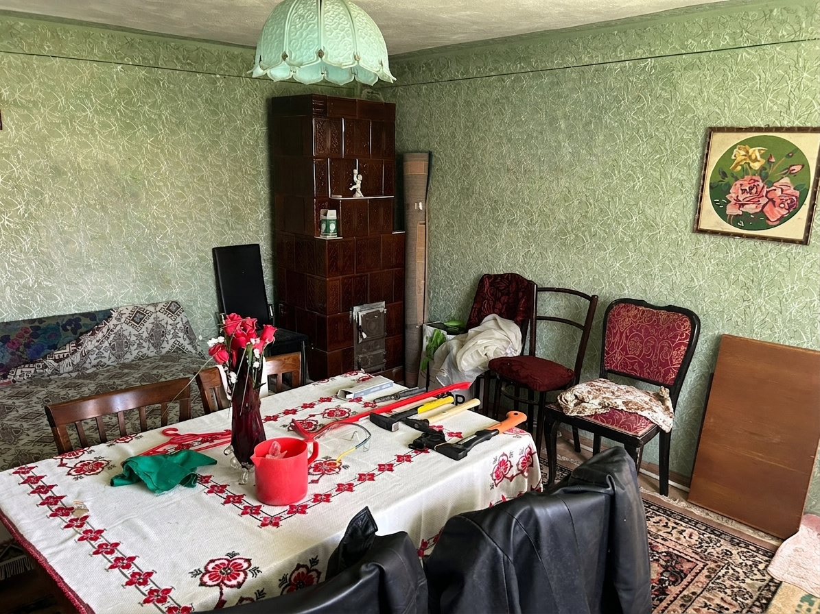 Casă la țară | Com Cocu | cu teren 3940 mp și livadă – zonă liniștită