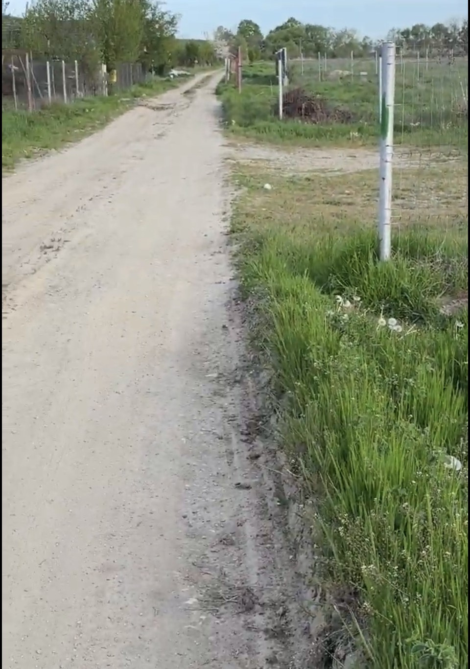 Land 2100 sqm with lake access – Budeasa Mare 5