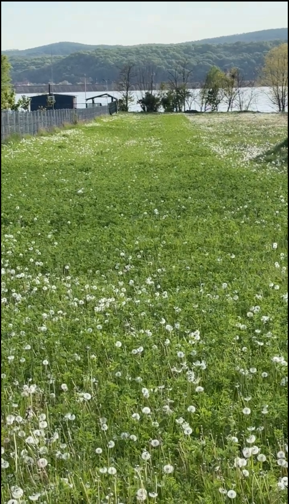 Land 2100 sqm with lake access – Budeasa Mare 4