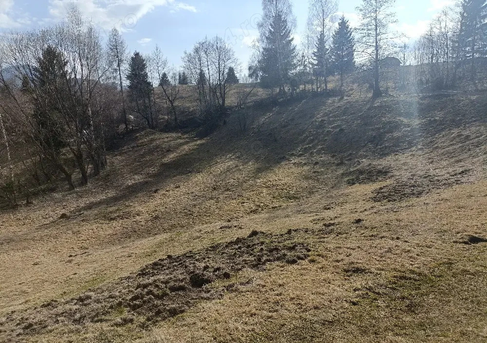 Teren de vânzare în AG Dambovicioara