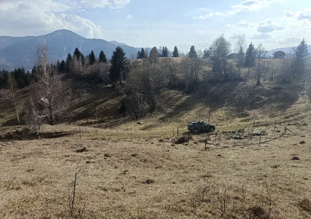 Teren de vânzare în AG Dambovicioara