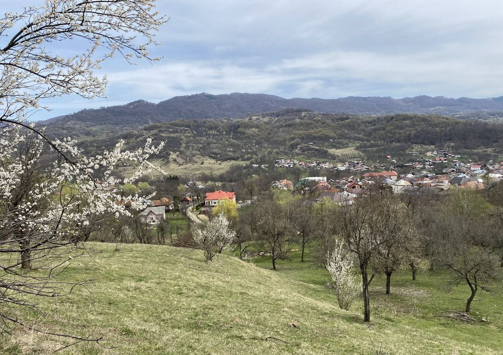 🏡 Investment Opportunity in Corbi, Argeș | 22,000 sqm Land in a Storybook Area
