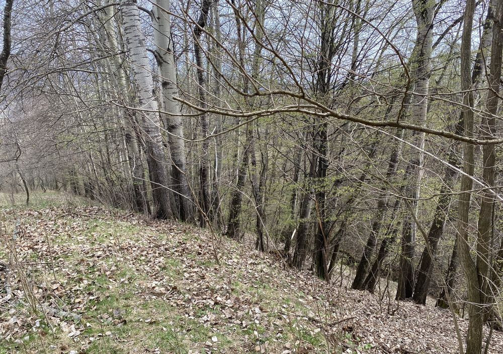 🏡 Investment Opportunity in Corbi, Argeș | 22,000 sqm Land in a Storybook Area 3