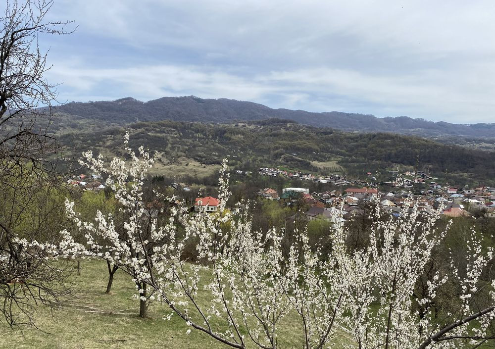 🏡 Investment Opportunity in Corbi, Argeș | 22,000 sqm Land in a Storybook Area 4