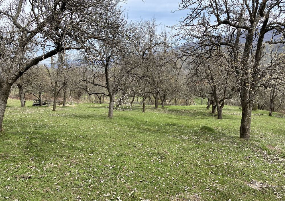 🏡 Investment Opportunity in Corbi, Argeș | 22,000 sqm Land in a Storybook Area 2