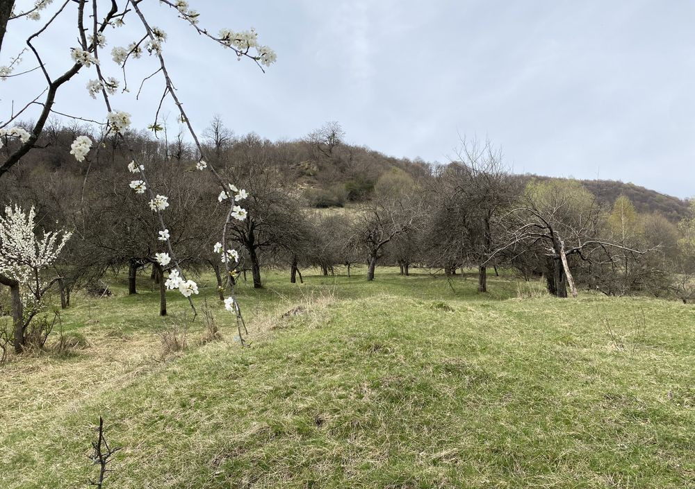 🏡 Investment Opportunity in Corbi, Argeș | 22,000 sqm Land in a Storybook Area 5
