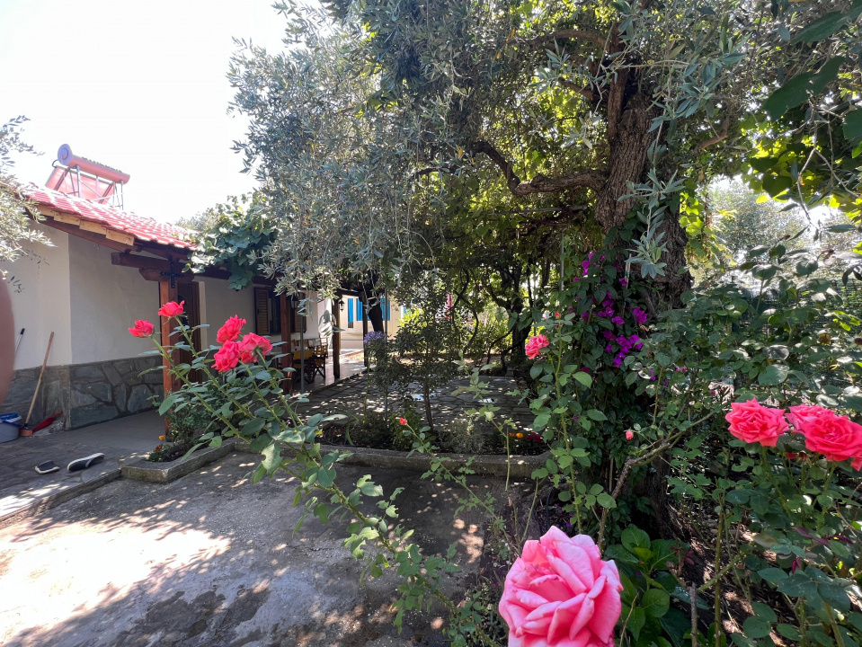 9.5% Yield Turnkey Business / Holiday Villa Thasos Greece 50m from Beach 3