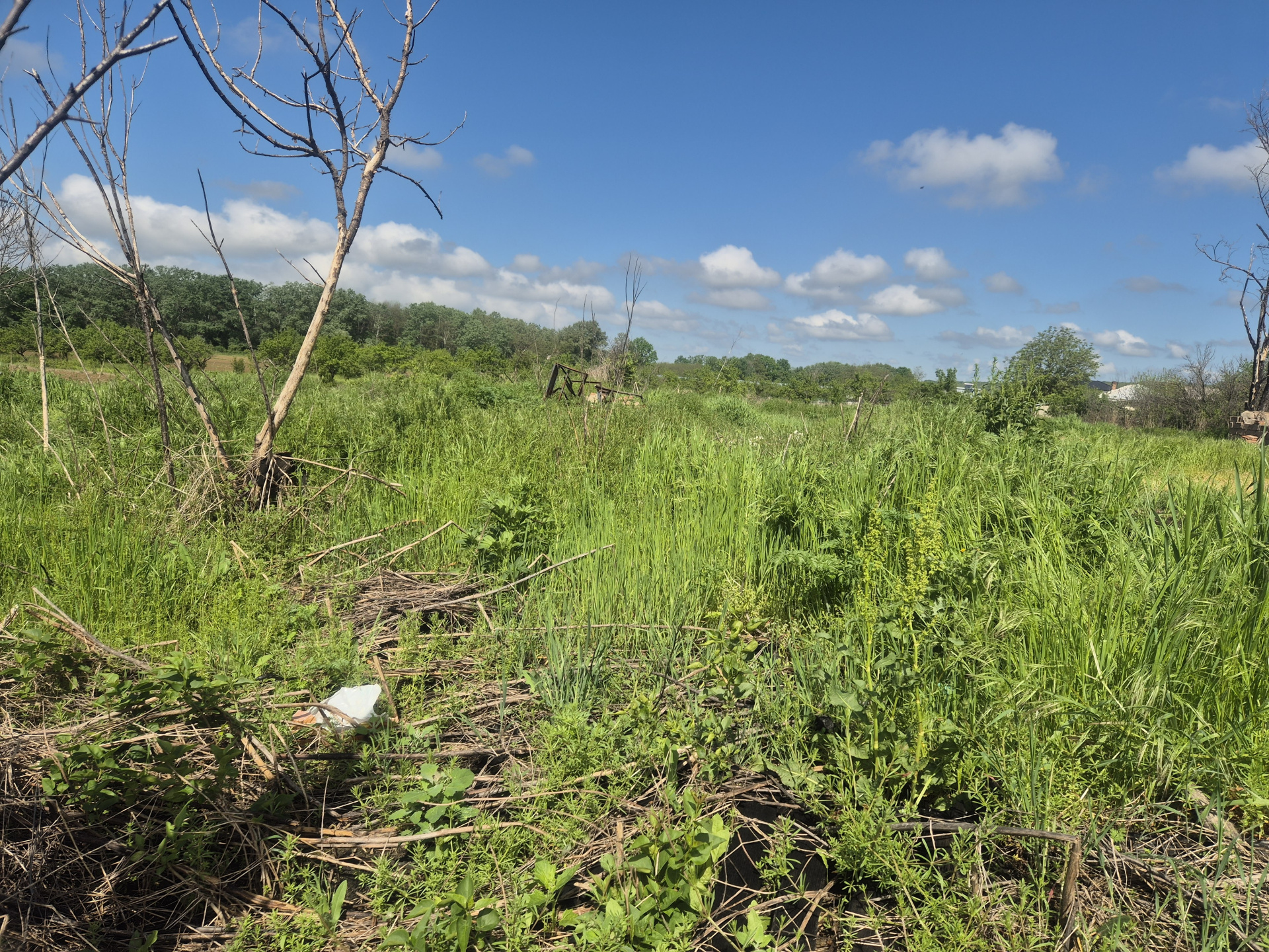 Land for sale at great price in Albota, Cerbu, Arges 2