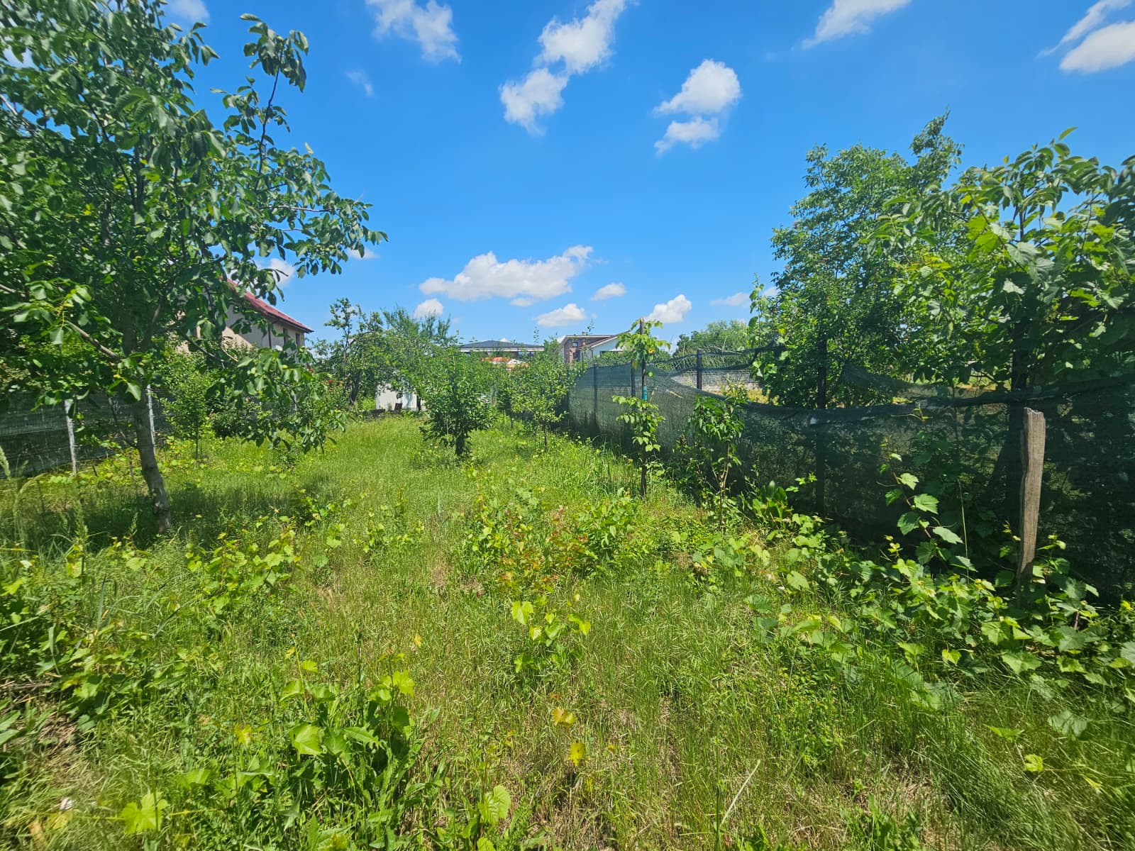 Tren de vanzare in Popesti-Leordeni 1000 mp