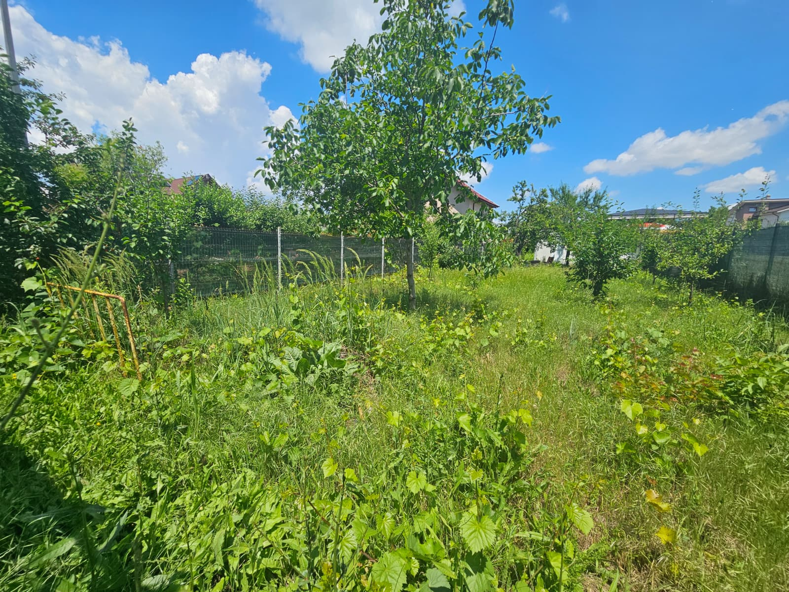 Tren de vanzare in Popesti-Leordeni 1000 mp