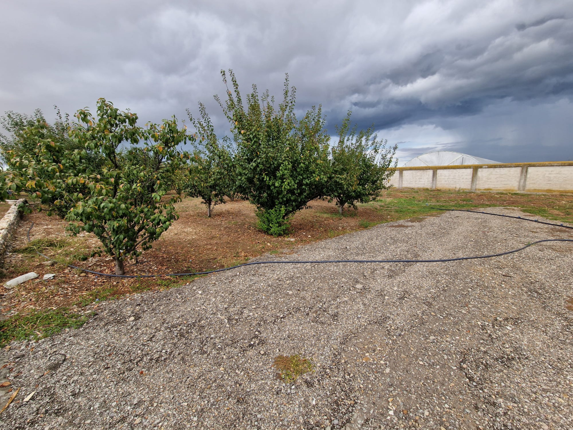 Land for sale - 700 sq m urban plot + 800 sq m orchard in Racovița (DB) 3