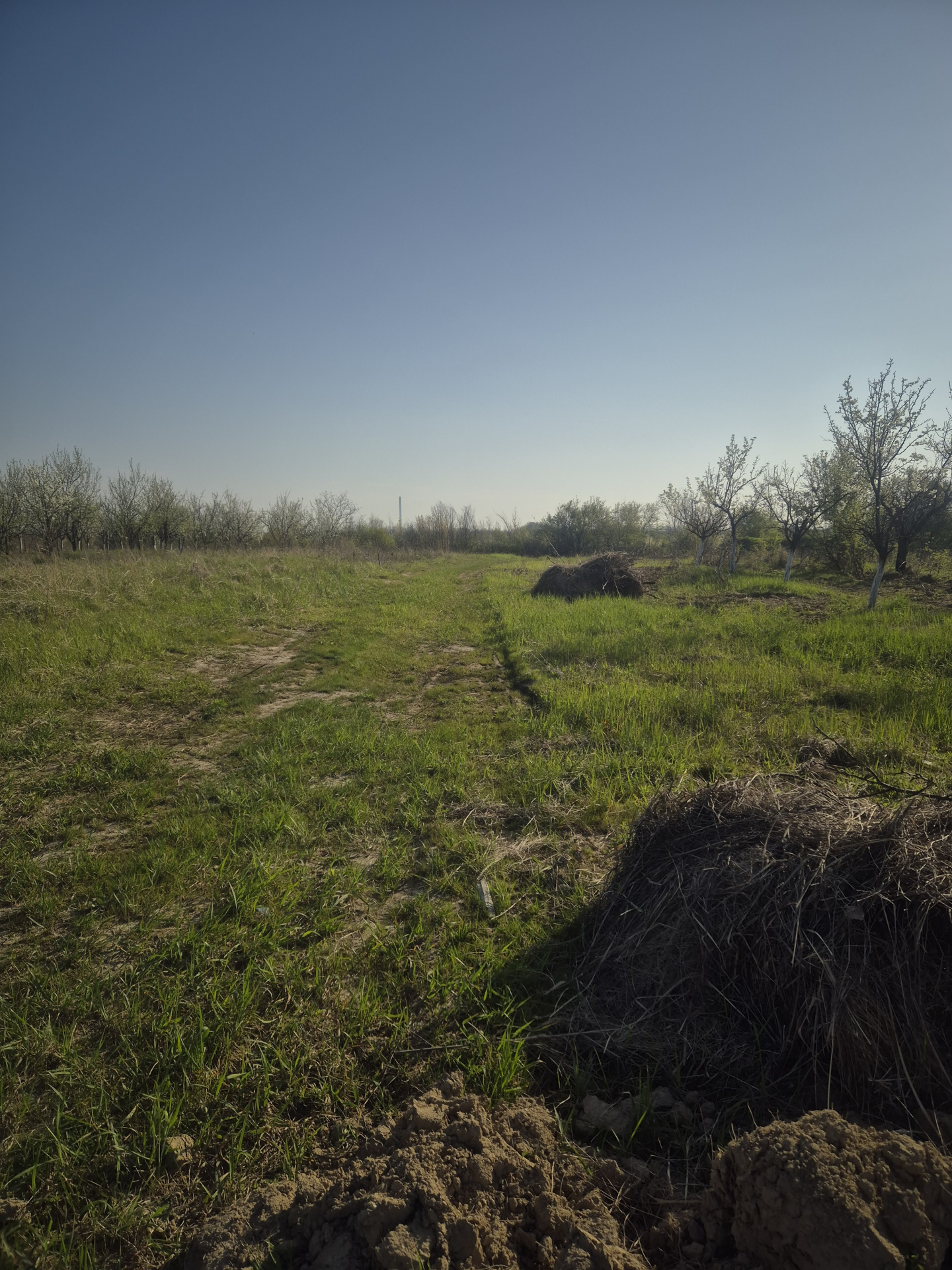 For sale mountain land in Rucar, Iezer Papusa area, Arges 2