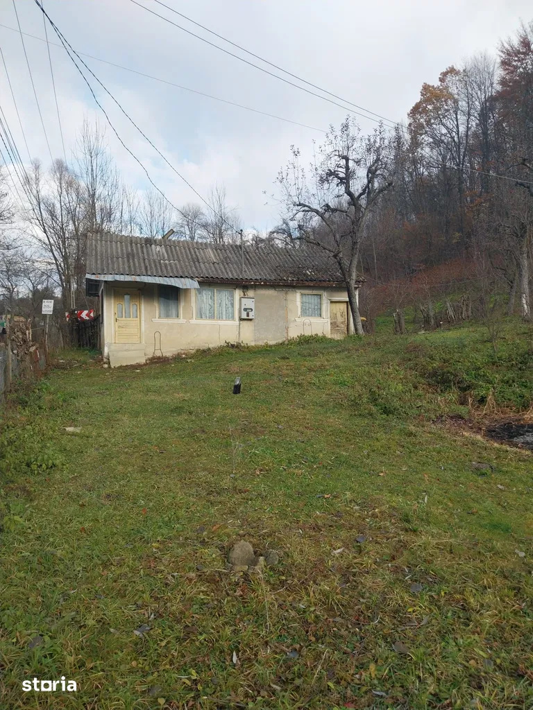 Land for sale 2200 sqm, Raul Alb, DB 2