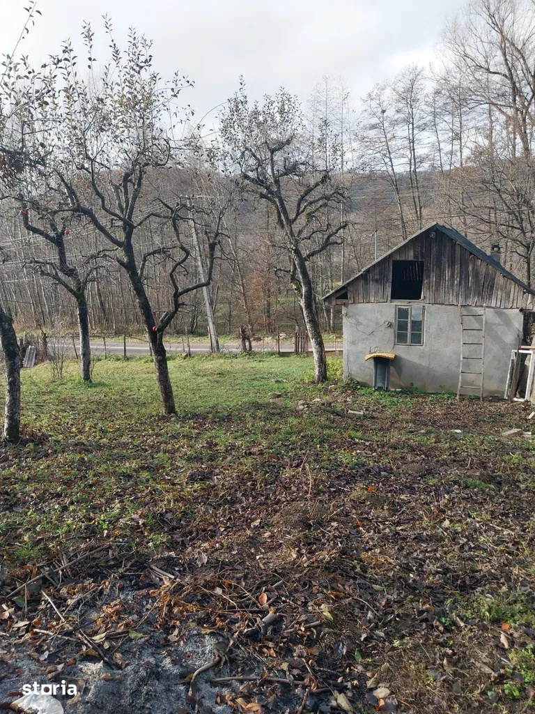 Land for sale 2200 sqm, Raul Alb, DB 4