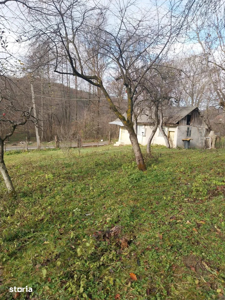 Land for sale 2200 sqm, Raul Alb, DB