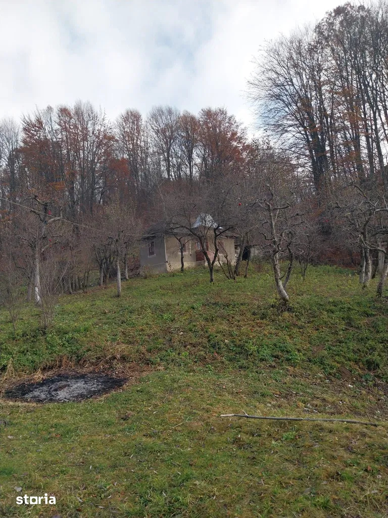 Land for sale 2200 sqm, Raul Alb, DB 3