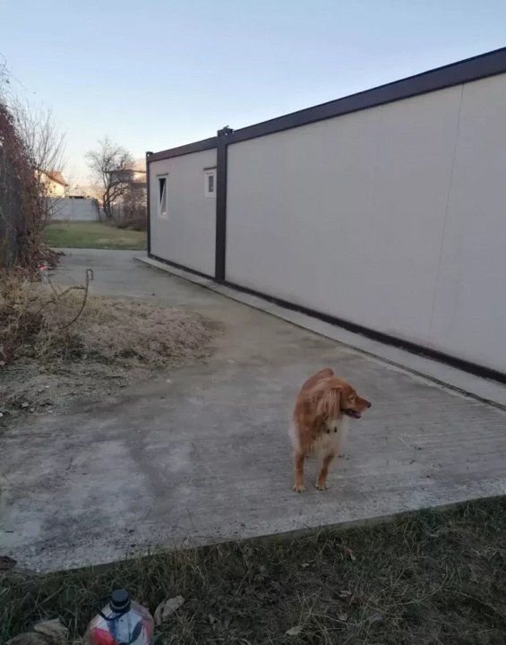 Teren de vânzare în DB Targoviste