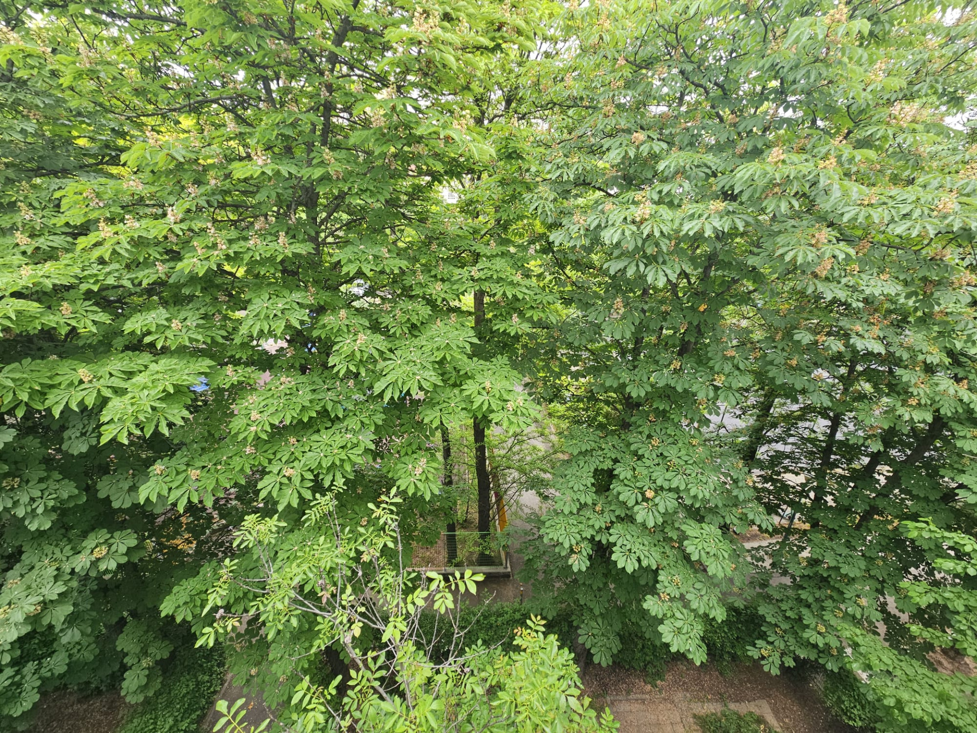 Apartament de vânzare în B Bucuresti, Covasna Nr. 4 ([object Object]), 63 m²