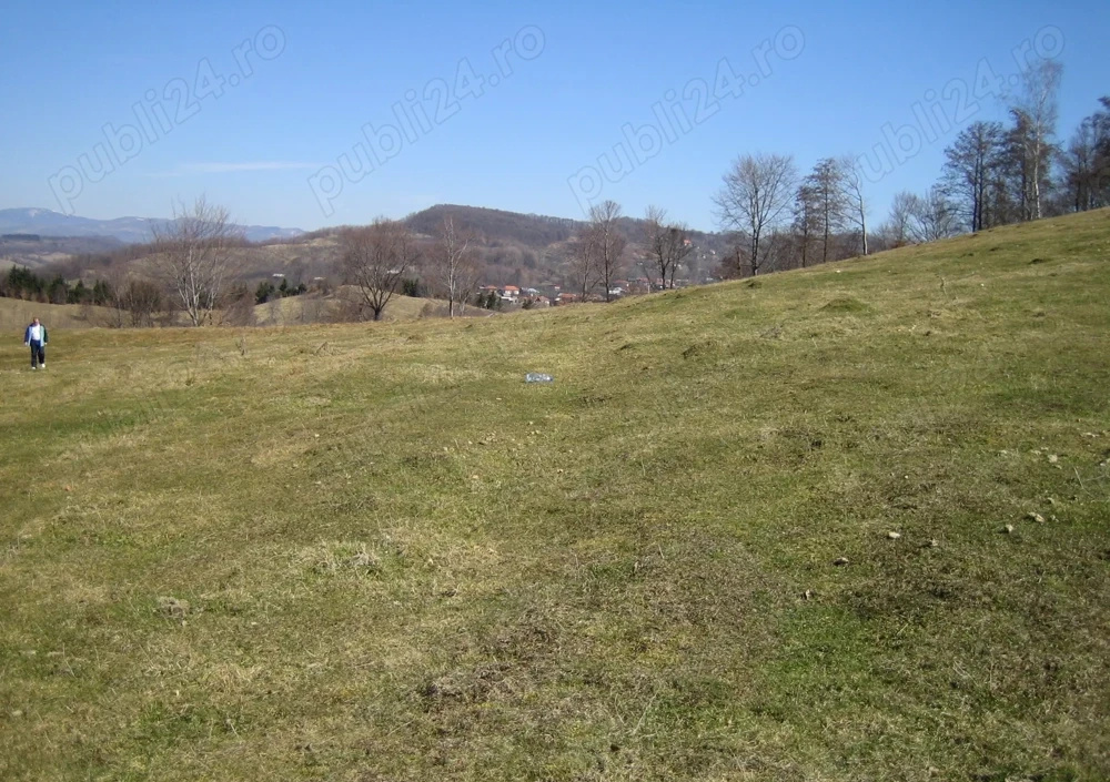 Selling Land in Curtea de Arges 5000 sqm 3
