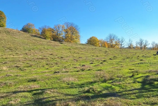 Selling Land in Curtea de Arges 5000 sqm 4