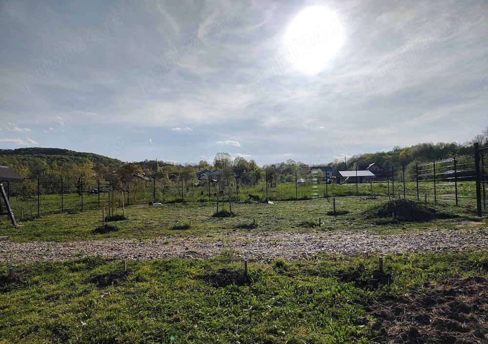 Urban Land for Sale – Valea lui Enache, Baiculești, Argeș | 500 sqm 4