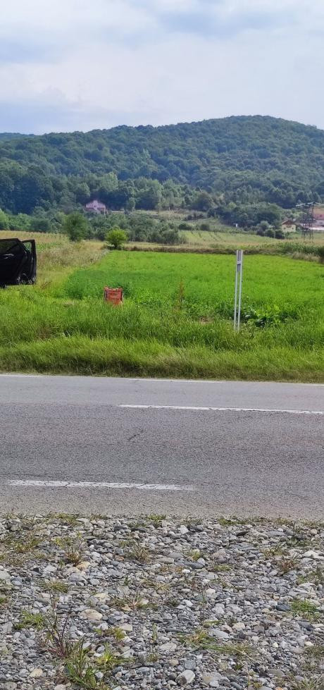 Land for Sale 3