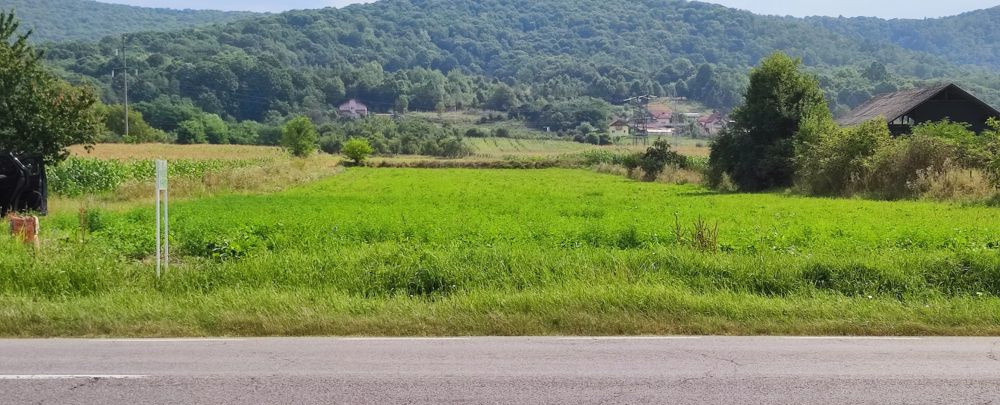 Land for Sale 4