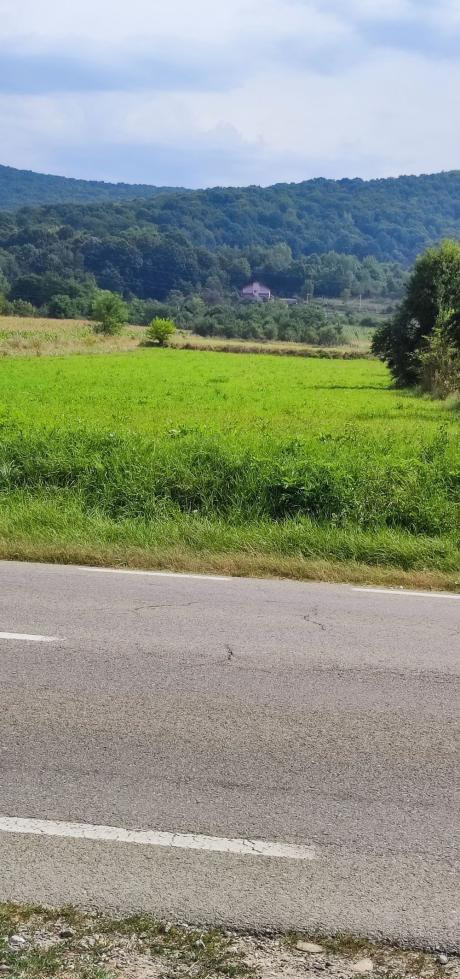 Land for Sale 2