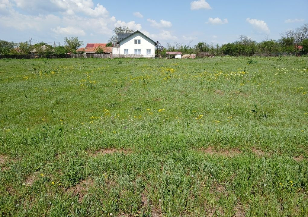 Sale of 1100 sqm urban land, Corbeni, Arges County 3