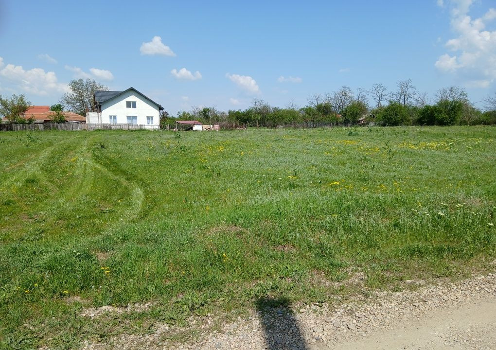 Sale of 1100 sqm urban land, Corbeni, Arges County