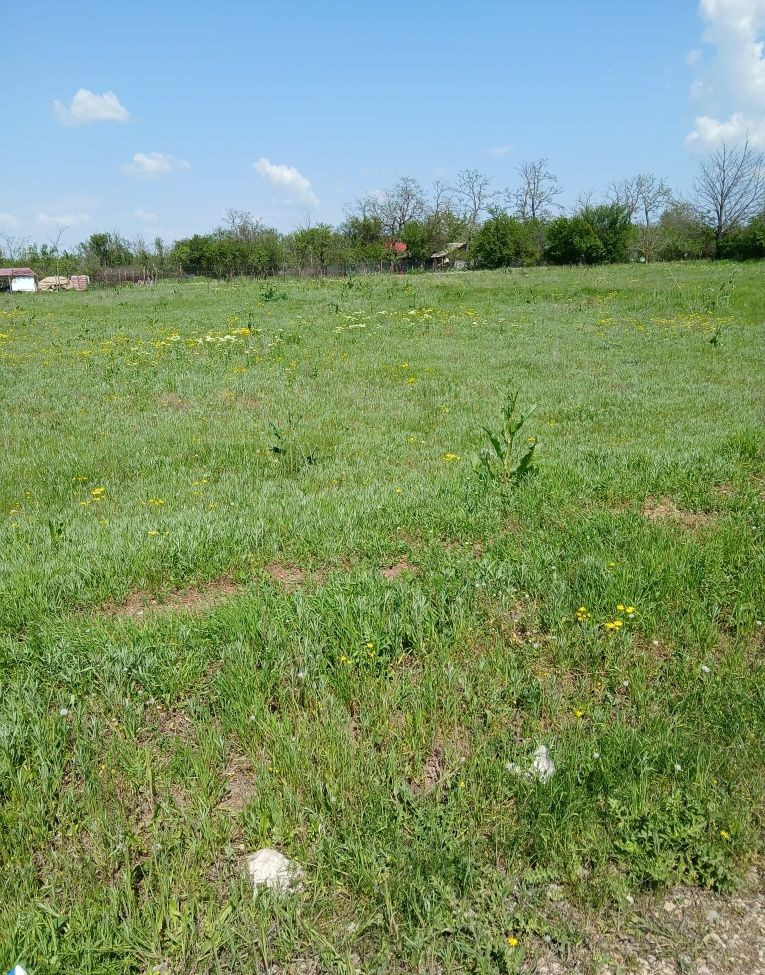 Sale of 1100 sqm urban land, Corbeni, Arges County 5