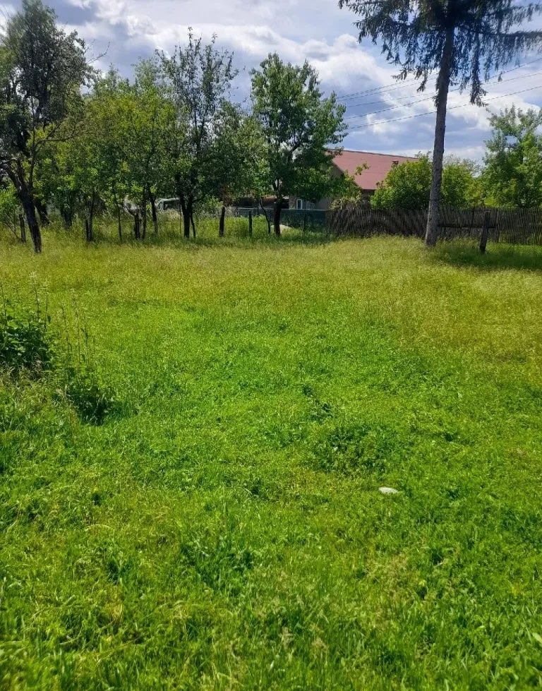 Casă cu 4 camere și teren generos de 940 mp – Stâlpeni - Cotoreni
