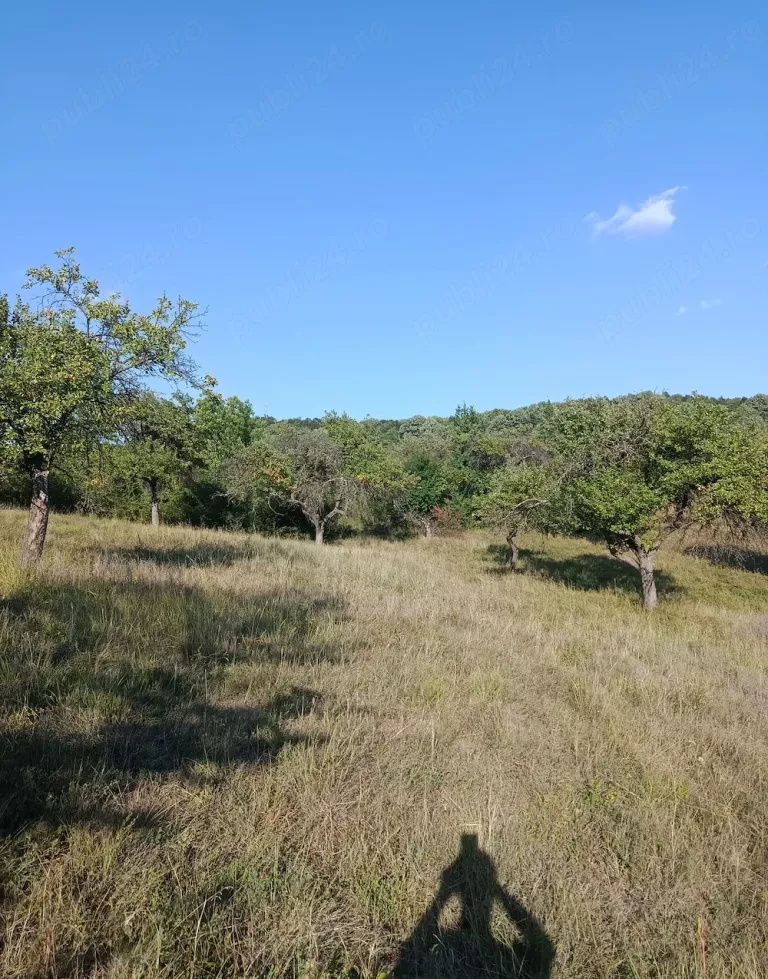 Teren extravilan de vânzare Tigveni | 4.944 mp | Panoramă superbă