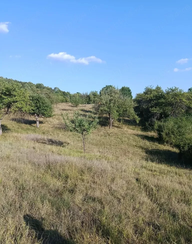 Teren extravilan de vânzare Tigveni | 4.944 mp | Panoramă superbă