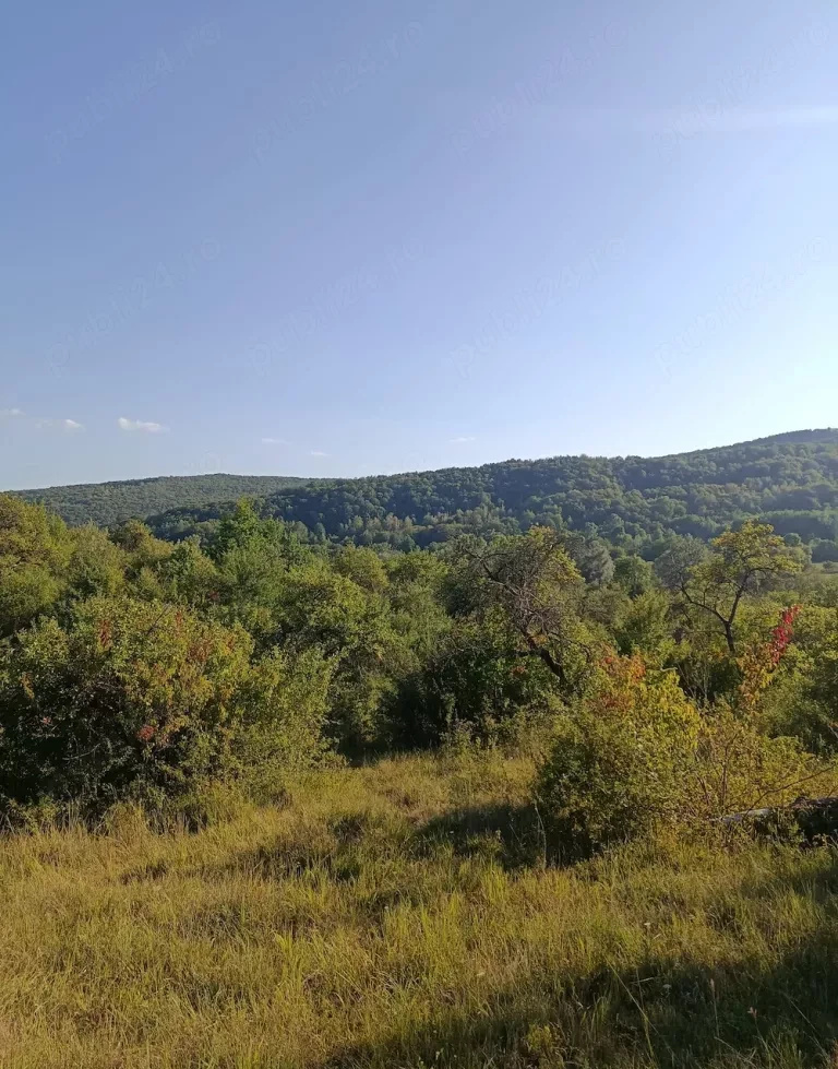 Teren extravilan de vânzare Tigveni | 4.944 mp | Panoramă superbă
