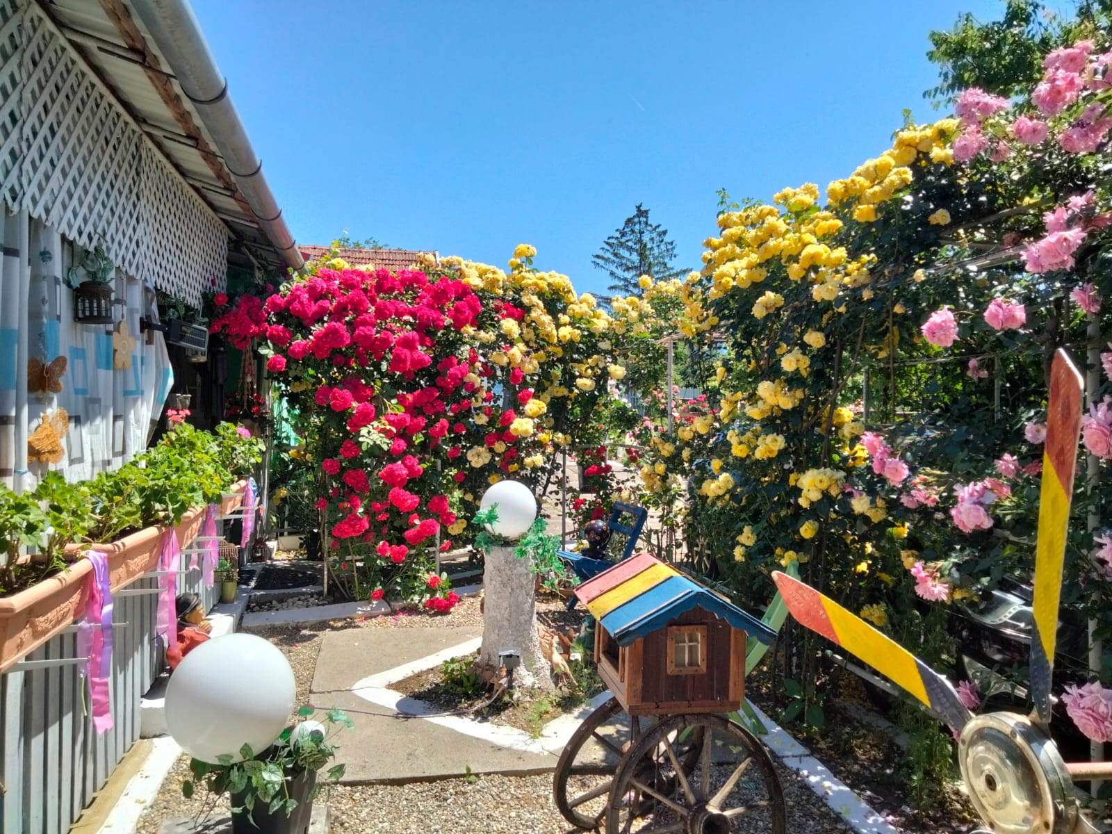 Casă spațioasă cu livadă în Buziaș