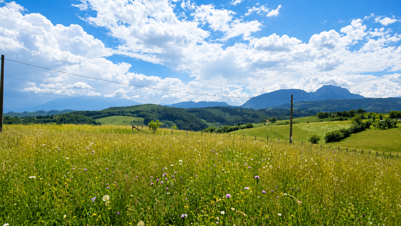 PANORAMA POIANA MĂRULUI | Terenuri cu potențial de dezvoltare