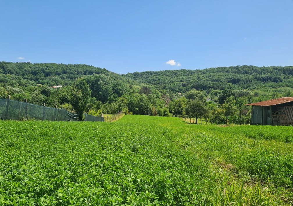 Teren de vânzare în AG Calinesti, 230000 m²