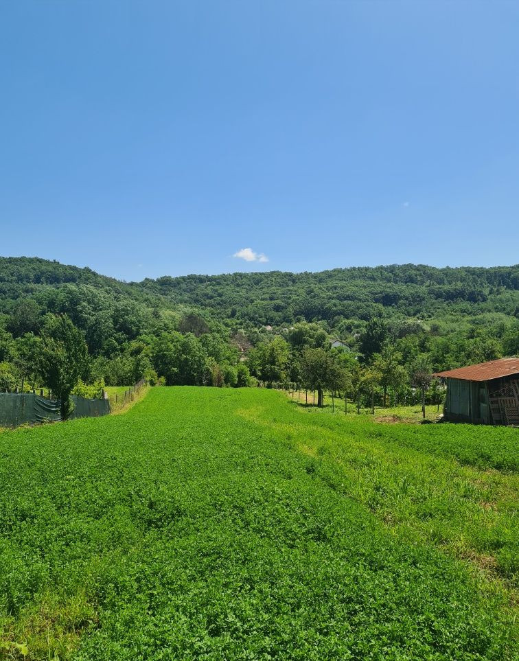 Teren de vânzare în AG Calinesti, 230000 m²