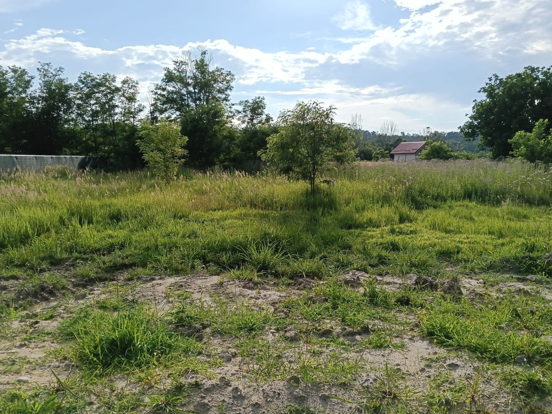 Teren de vânzare în AG Costesti