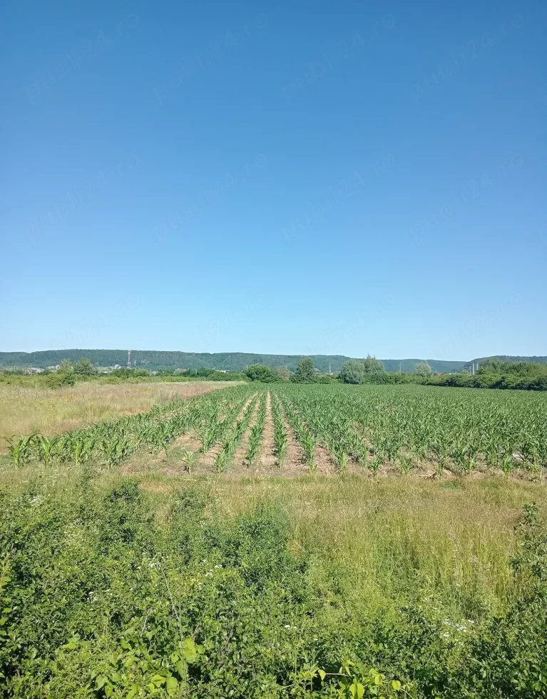 Teren de vânzare în AG Mioveni