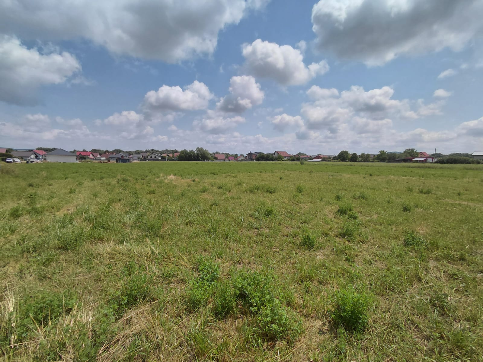 Land for Sale in Bod – 892 sqm All Utilities Available 44,600 € 2