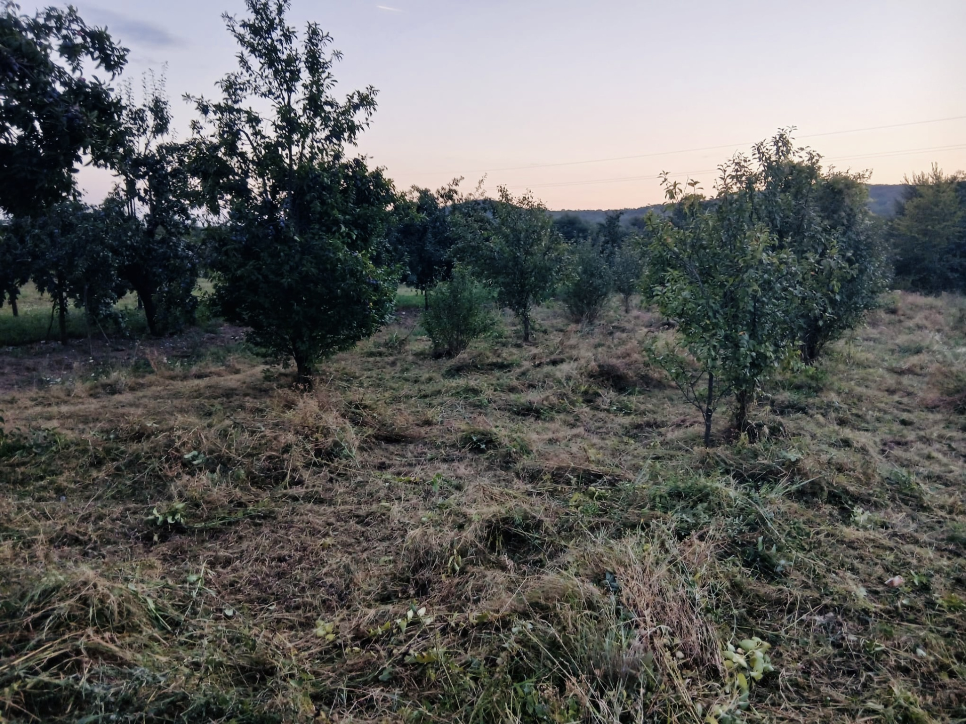 Land for sale in AG Topoloveni