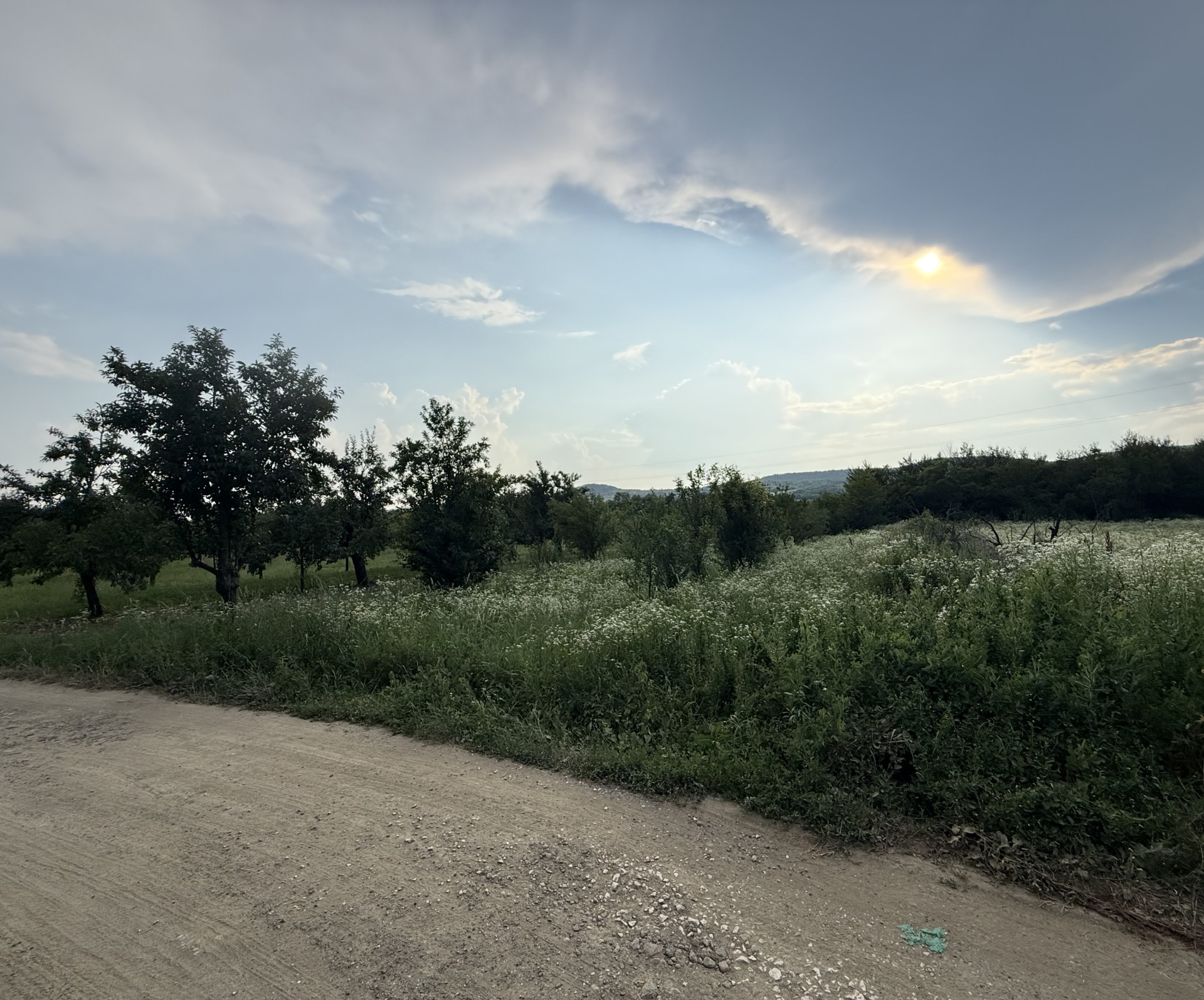 Land for sale in Topoloveni | Quiet area, close to the city 3