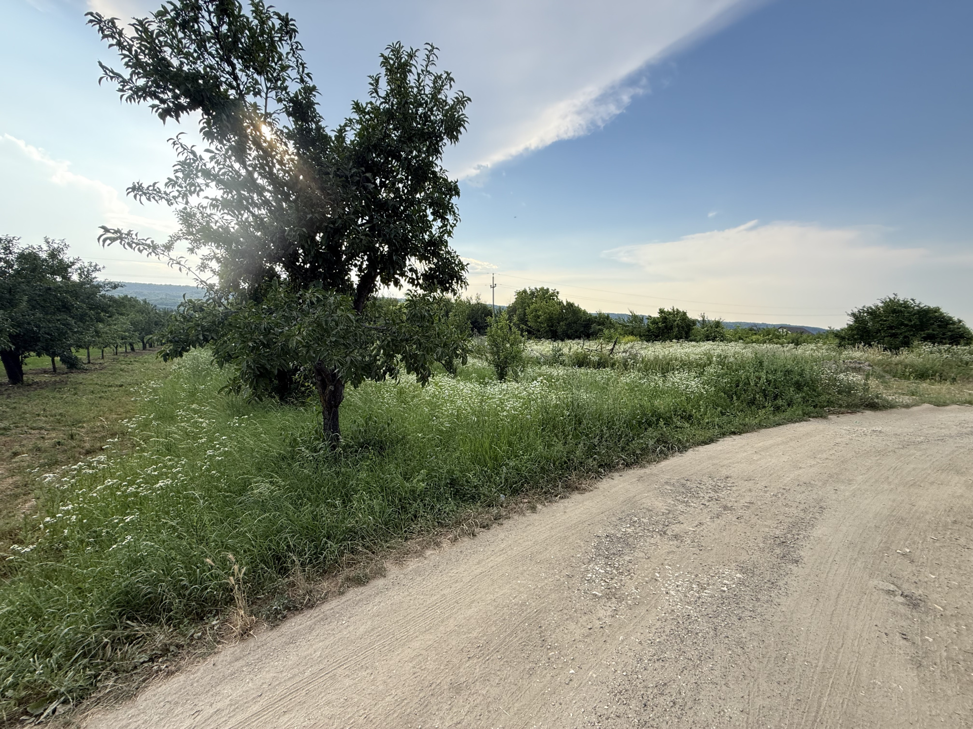 Land for sale in Topoloveni | Quiet area, close to the city 2