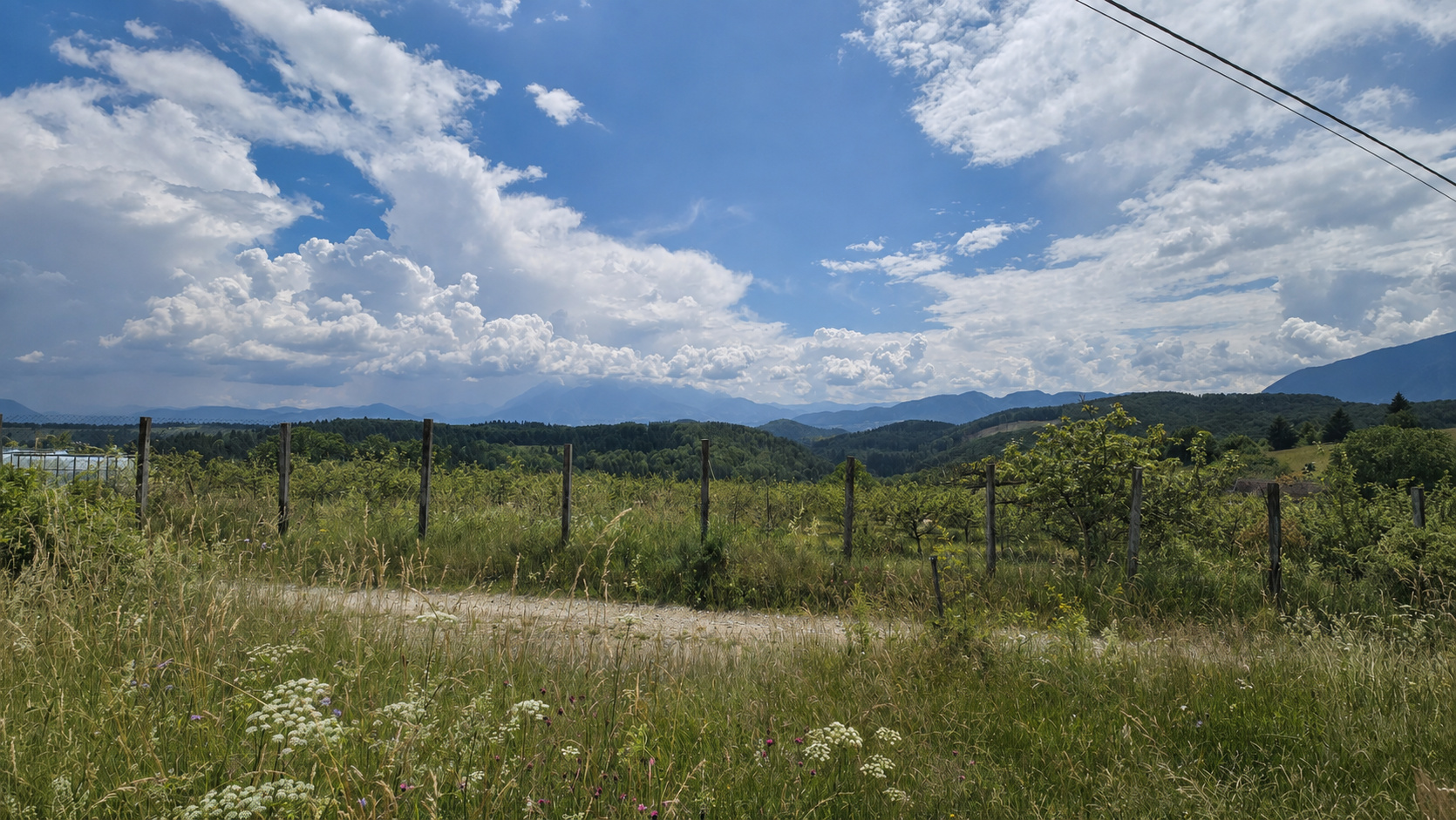 PANORAMA POIANA MĂRULUI | Development Potential Land in After Hills Area 5